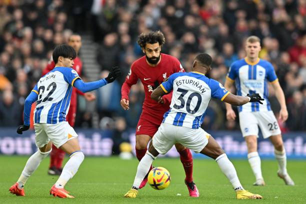 生涯带来影 生涯带来影